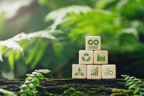ecologically sustainable data management