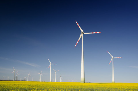 wind-turbines-produce-green-electricity-in-the-middle-of-a-rapeseed-field
